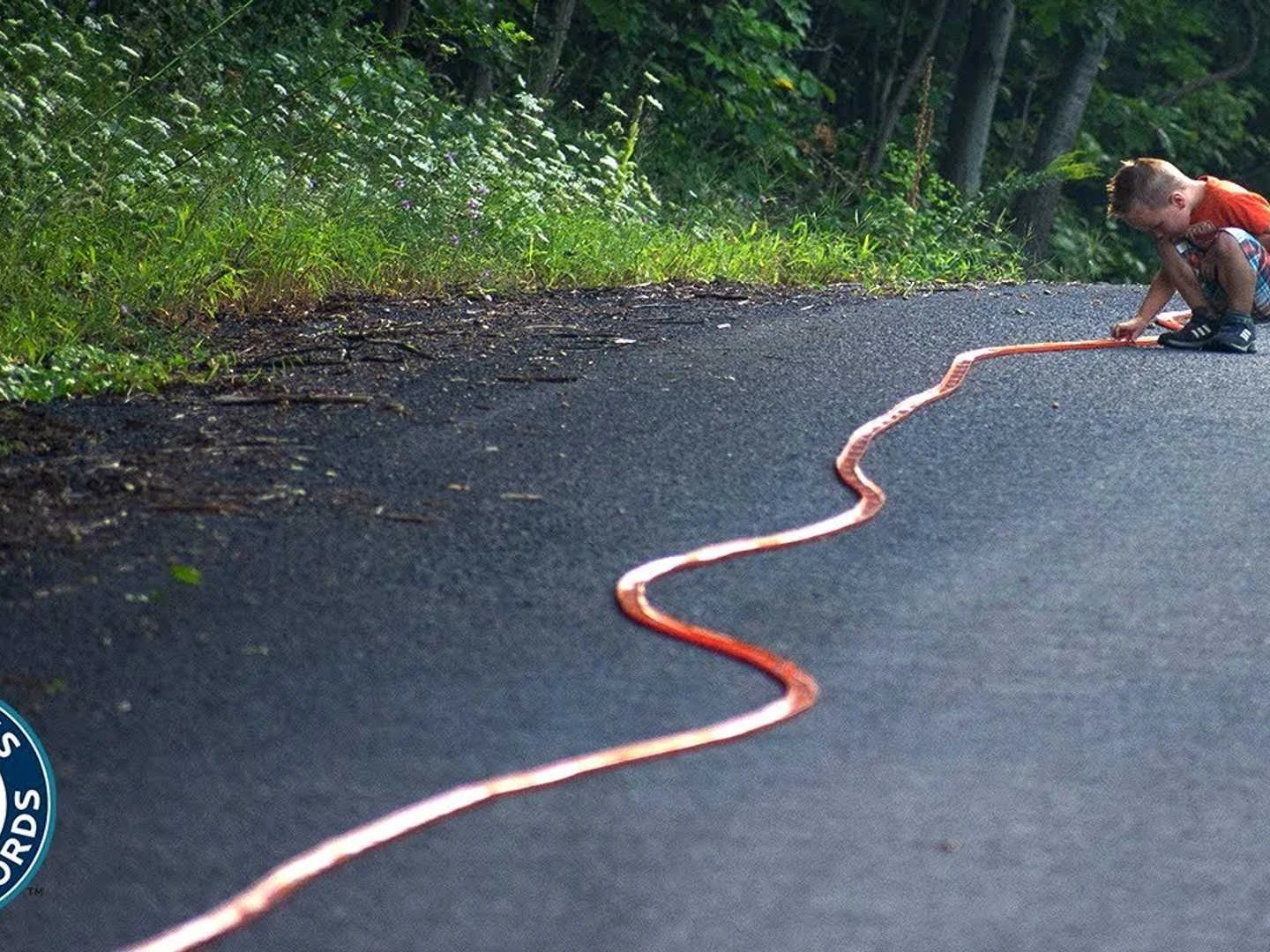 The World's Longest Hot Wheels Track Welcome!